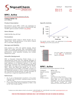 RIPK1, Active Recombinant Mouse Protein Expressed in Sf9 Cells