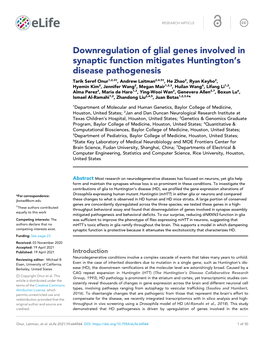 Downregulation of Glial Genes Involved in Synaptic Function