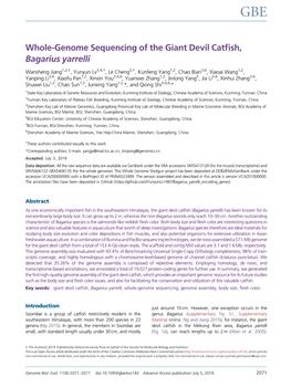 Whole-Genome Sequencing of the Giant Devil Catfish, Bagarius Yarrelli