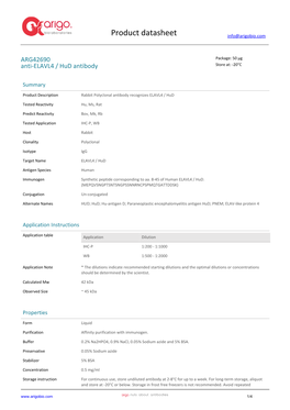 Anti-ELAVL4 / Hud Antibody (ARG42690)