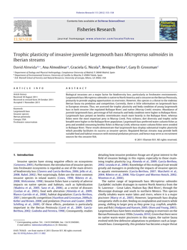 Trophic Plasticity of Invasive Juvenile Largemouth Bass Micropterus Salmoides in Iberian Streams