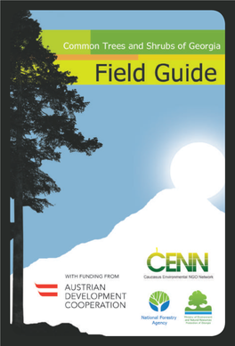 Field Guide – Common Trees and Shrubs of Georgia