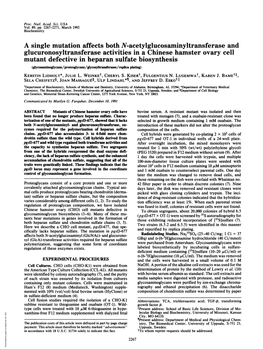 A Single Mutation Affects Both N-Acetylglucosaminyltransferase