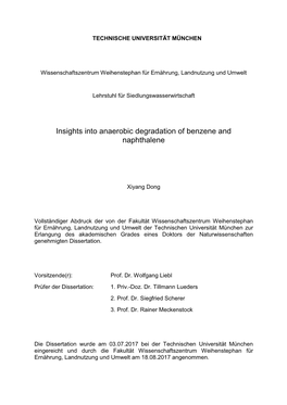 Insights Into Anaerobic Degradation of Benzene and Naphthalene