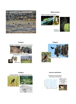 Mating Systems and Parental Investment Mating Systems