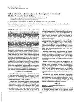 Skeletal Muscles in Chick Embryo (Cholinergic Receptor/Choline Acetyltransferase/Acetylcholinesterase/ Embryonic Development of Neuromuscular Junction) G