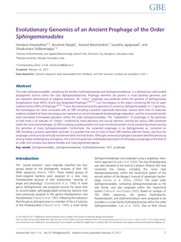 Evolutionary Genomics of an Ancient Prophage of the Order Sphingomonadales