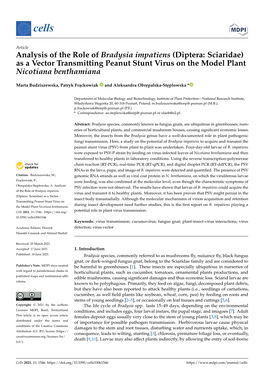 Analysis of the Role of Bradysia Impatiens (Diptera: Sciaridae) As a Vector Transmitting Peanut Stunt Virus on the Model Plant Nicotiana Benthamiana