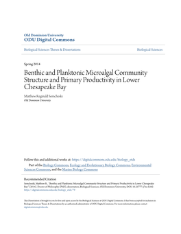 Benthic and Planktonic Microalgal Community Structure and Primary Productivity in Lower Chesapeake Bay Matthew Reginald Semcheski Old Dominion University