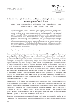 Micromorphological Variations and Taxonomic Implications Of