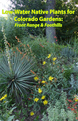 Low-Water Native Plants for Colorado Gardens: Front Range & Foothills