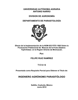 Felipe Ruiz Ramírez Tesis