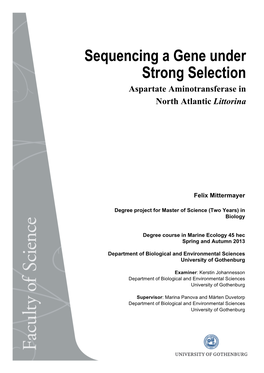 Sequencing a Gene Under Strong Selection Aspartate Aminotransferase in North Atlantic Littorina