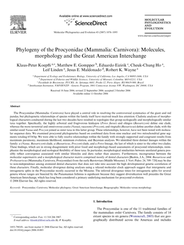 Phylogeny of the Procyonidae (Mammalia: Carnivora): Molecules, Morphology and the Great American Interchange