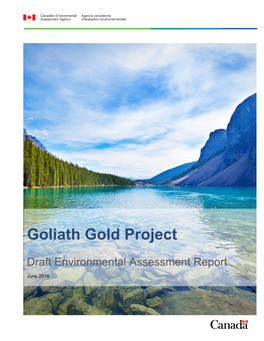 Goliath Gold Project