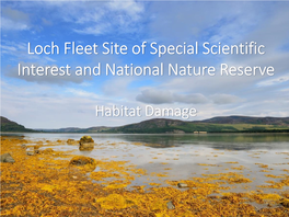 Loch Fleet Site of Special Scientific Interest and National Nature Reserve