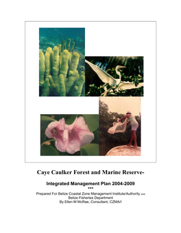 Caye Caulker Forest and Marine Reserve