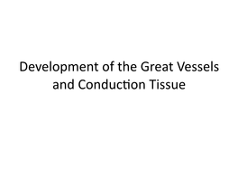 6 Development of the Great Vessels and Conduction Tissue