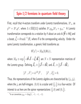 Spin-1/2 Fermions in Quantum Field Theory