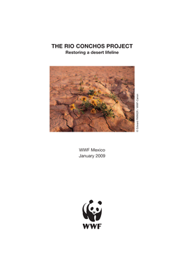 THE RIO CONCHOS PROJECT Restoring a Desert Lifeline N O N a C - F W W / R E K R a P D R a W D E ©