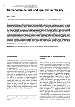 Catecholamine-Induced Lipolysis in Obesity