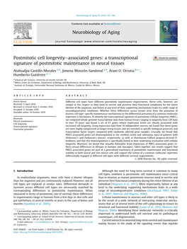 A Transcriptional Signature of Postmitotic Maintenance in Neural Tissues