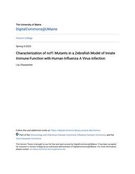 Characterization of Ncf1 Mutants in a Zebrafish Model of Innate Immune Function with Human Influenza a Virus Infection