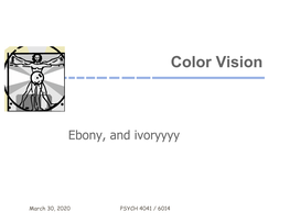 Color Vision