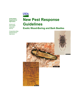 Wood Boring Bark Beetles.Book