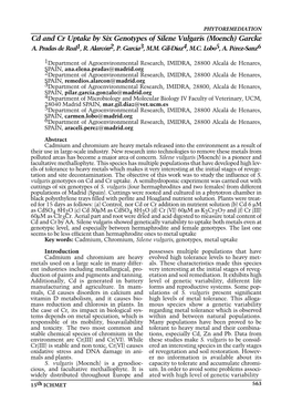 Cd and Cr Uptake by Six Genotypes of Silene Vulgaris (Moench) Garcke A