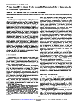 Protein-Linked DNA Strand Breaks Induced in Mammalian Cells by Camptothecin, an Inhibitor of Topoisomerase I Joseph M