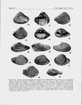 Eoursivivas Cultriformis