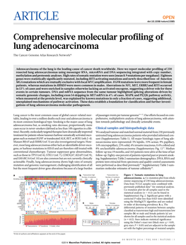 Comprehensive Molecular Profiling of Lung Adenocarcinoma