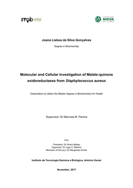 Molecular and Cellular Investigation of Malate:Quinone Oxidoreductases from Staphylococcus Aureus