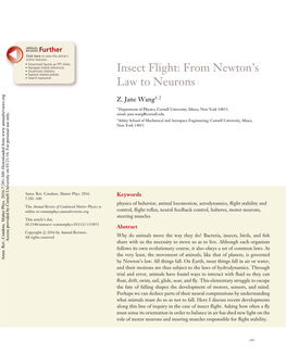 Insect Flight: from Newton's Law to Neurons