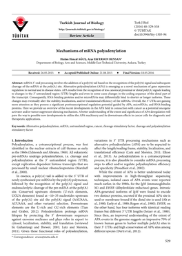 Mechanisms of Mrna Polyadenylation