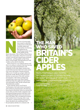 Britain's Cider Apples