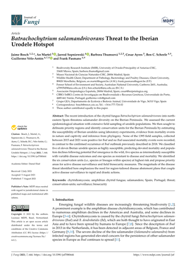 Batrachochytrium Salamandrivorans Threat to the Iberian Urodele Hotspot