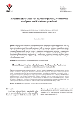 Biocontrol of Fusarium Wilt by Bacillus Pumilus, Pseudomonas Alcaligenes, and Rhizobium Sp