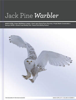 Jack Pinewarbler