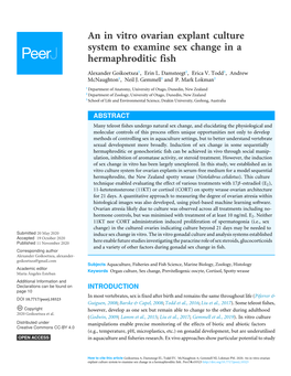 An in Vitro Ovarian Explant Culture System to Examine Sex Change in a Hermaphroditic Fish