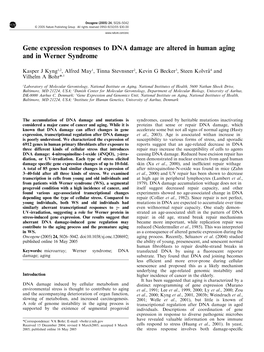 Gene Expression Responses to DNA Damage Are Altered in Human Aging and in Werner Syndrome