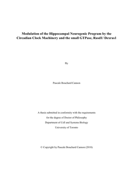 Modulation of the Hippocampal Neurogenic Program by the Circadian Clock Machinery and the Small Gtpase, Rasd1/ Dexras1