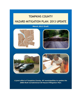 2.0 Tompkins County Profile