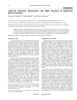 Adherens Junctions, Desmosomes and Tight Junctions in Epidermal Barrier Function Johanna M