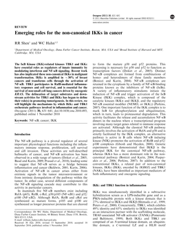Emerging Roles for the Non-Canonical Ikks in Cancer