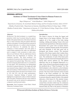 Ó Incidence of Third Trochanter/Crista Glutei in Human Femora in Central Indian Population