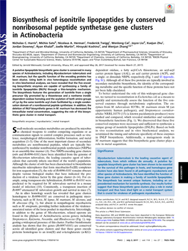 Biosynthesis of Isonitrile Lipopeptides by Conserved Nonribosomal Peptide Synthetase Gene Clusters in Actinobacteria