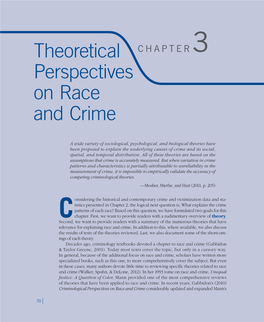 Theoretical Perspectives on Race and Crime