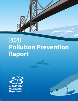 2020 Pollution Prevention Annual Report 1 February 2021 Order No